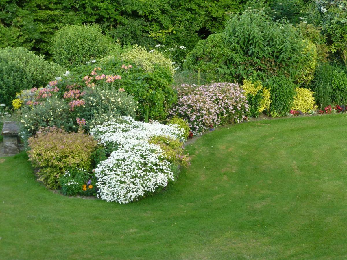 Whiteways Farmhouse Buckland Newton Esterno foto