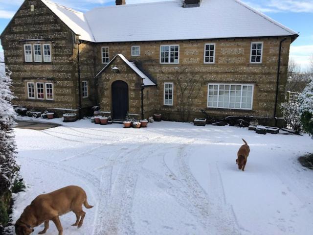 Whiteways Farmhouse Buckland Newton Esterno foto